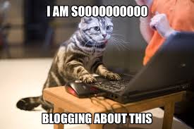 blog cat